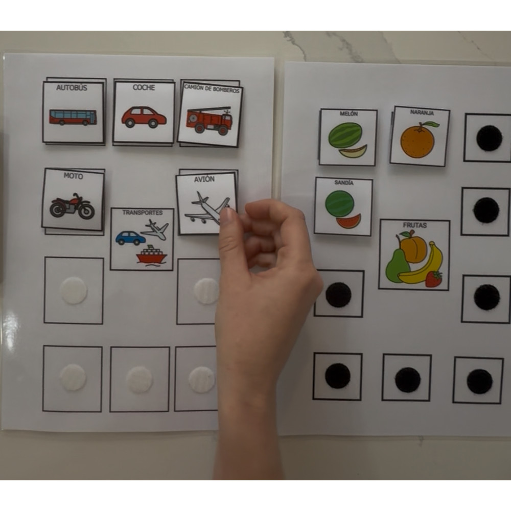 Actividad TEACCH gratuita con pictogramas de ARASAAC: clasificar transportes y frutas