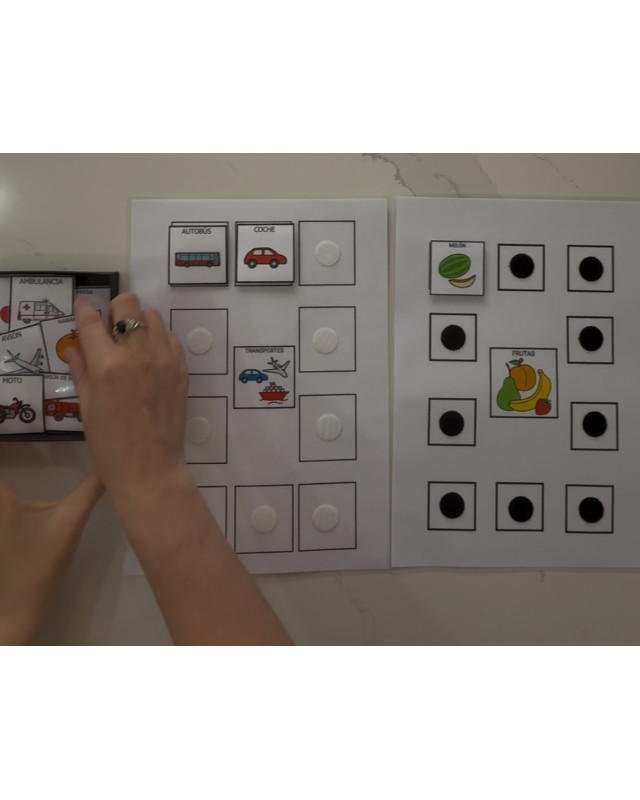Actividad TEACCH gratuita con pictogramas de ARASAAC: clasificar transportes y frutas