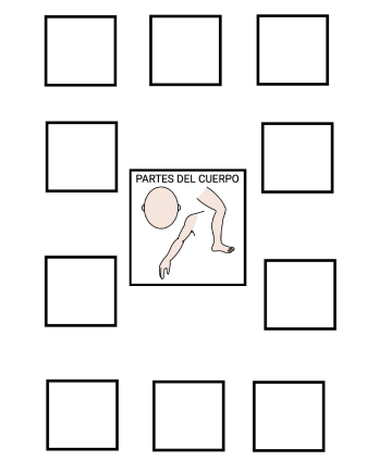 Actividad TEACCH gratuita: clasificar pictogramas de partes del cuerpo y animales con apoyo visual