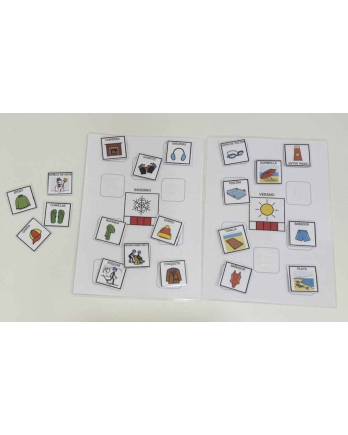 Actividad TEACCH gratuita: clasificar pictogramas de ARASAAC — Invierno y Verano