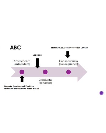 Curso de Conductas Disruptivas en el Autismo