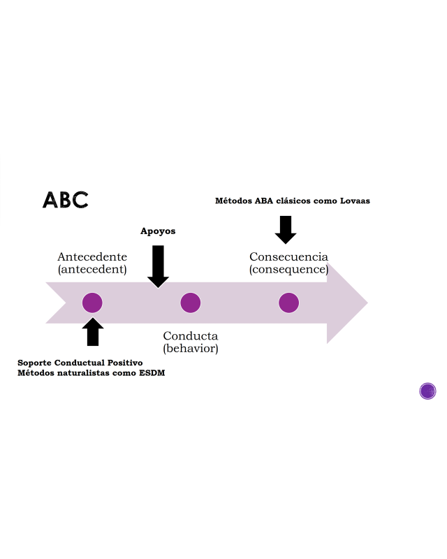 Curso de Conductas Disruptivas en el Autismo