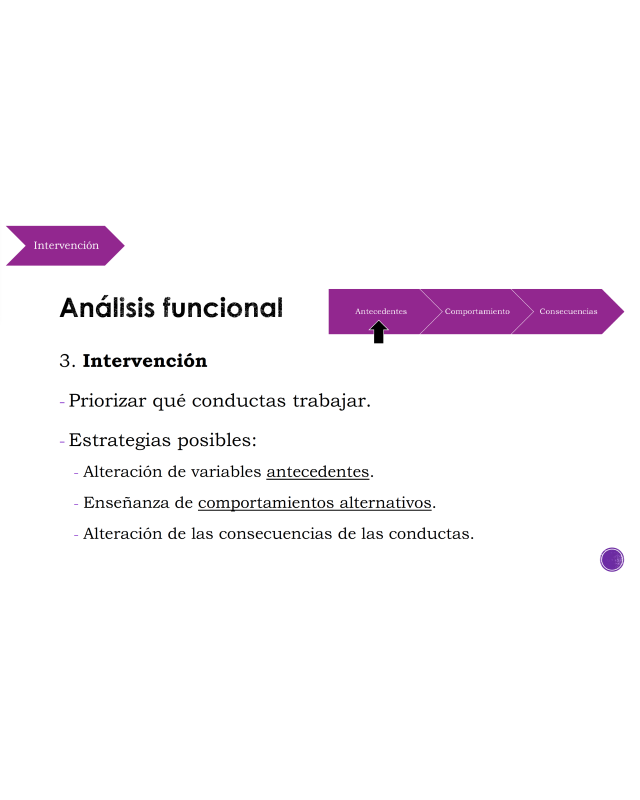 Curso de Conductas Disruptivas en el Autismo