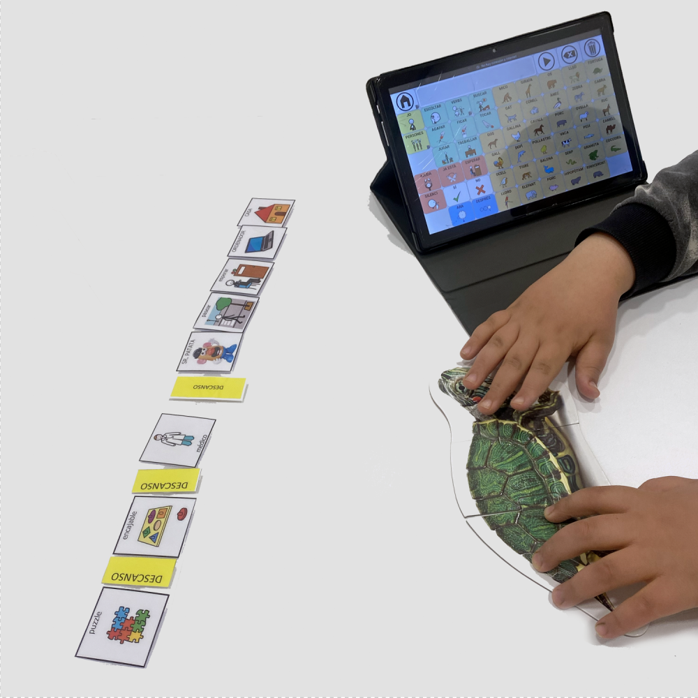 Apoyos visuales y método TEAACH en el autismo