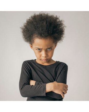 Curso de Conductas Disruptivas en el Autismo