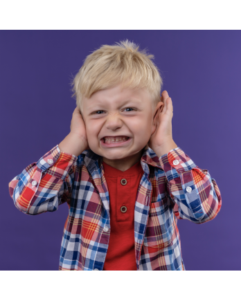Seminario de Conductas Disruptivas en el Autismo | Galaxia Autista