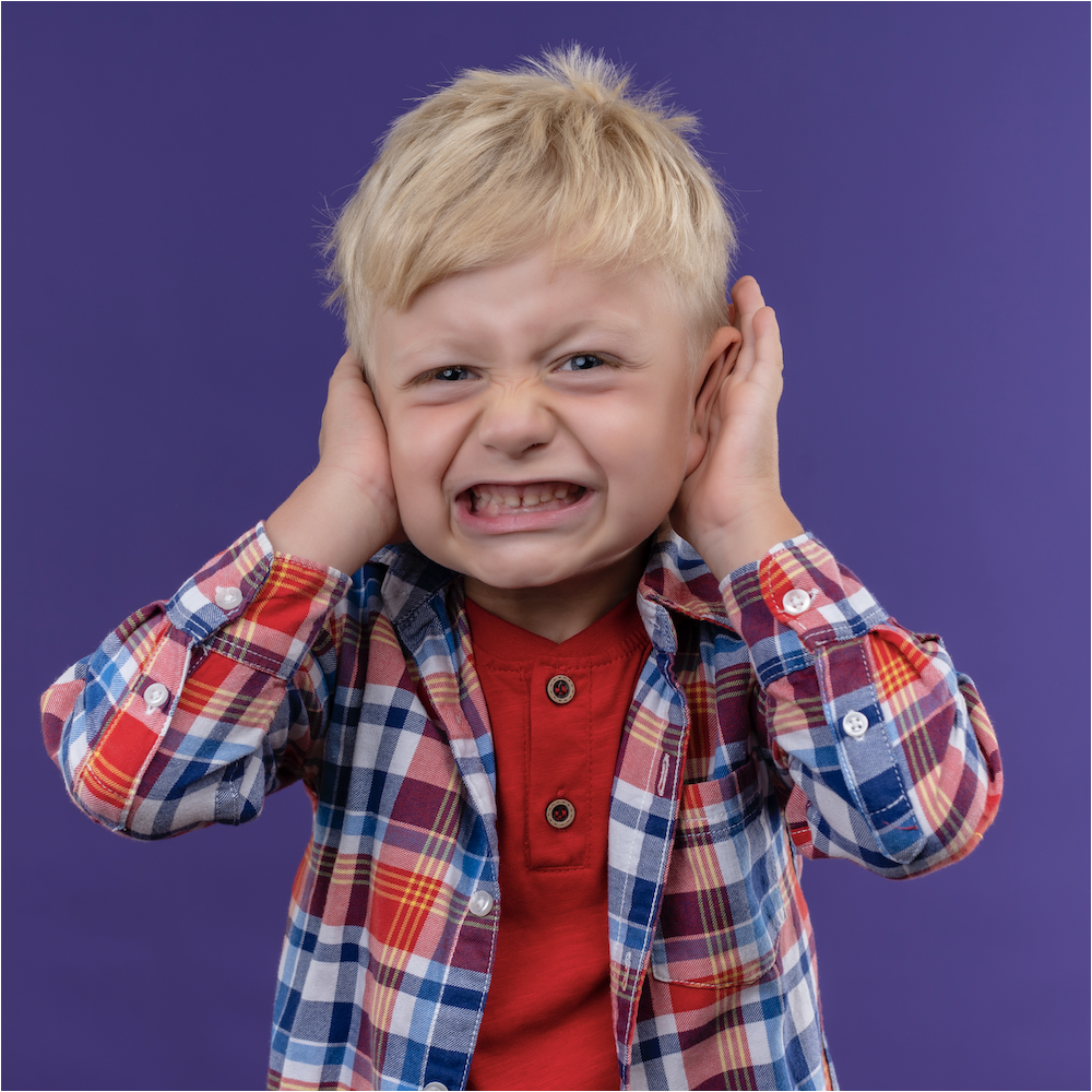 Seminario de Conductas Disruptivas en el Autismo | Galaxia Autista