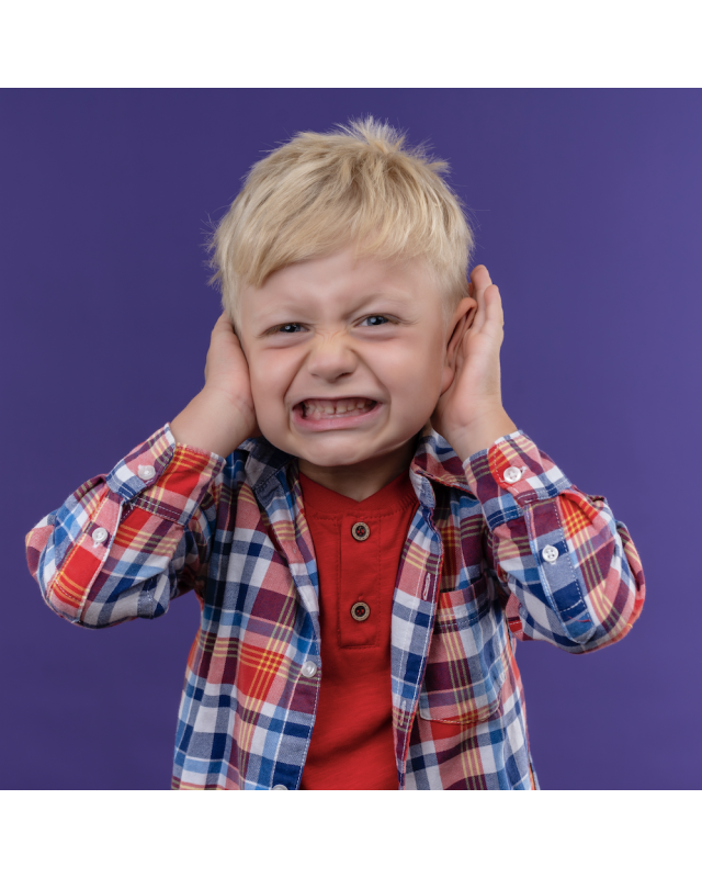 Seminario de Conductas Disruptivas en el Autismo | Galaxia Autista