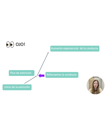 Seminario de Conductas Disruptivas en el Autismo | Galaxia Autista