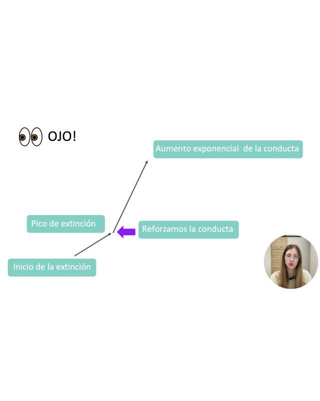 Seminario de Conductas Disruptivas en el Autismo | Galaxia Autista